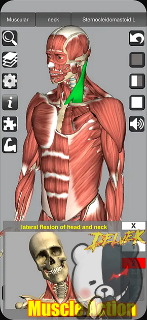 3D Anatomy screenshot 1