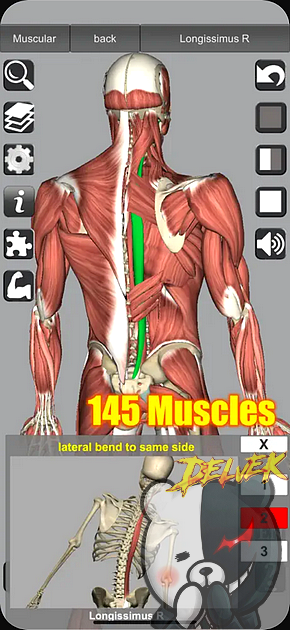 3D Anatomy screenshot 2