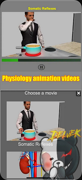 3D Anatomy screenshot 3