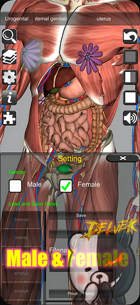 3D Anatomy screenshot 4
