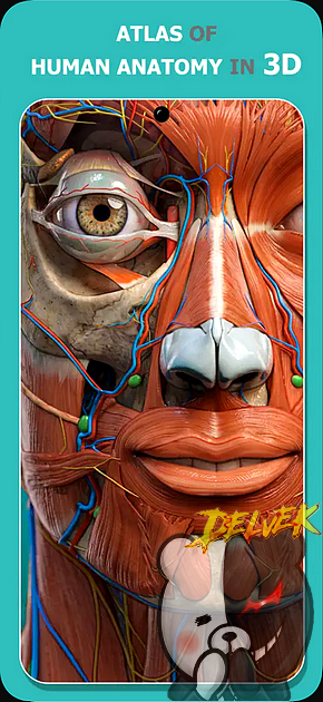 3D Atlas - Anatomy Learning iPhone screenshot 2