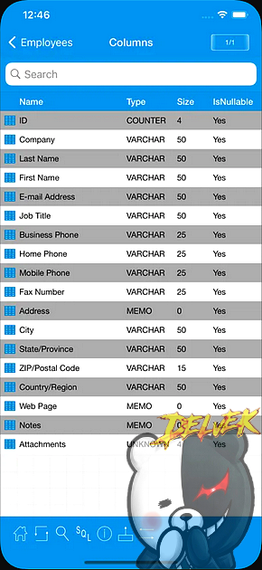 AccessProg1 - Access Client iPhone screenshot 3