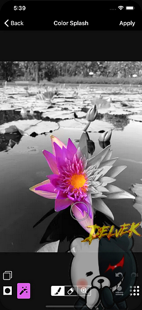 ACDSee Pro iPhone screenshot 3