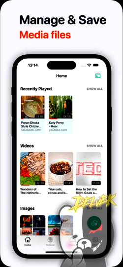Any Video Saver screenshot 1