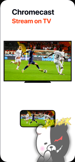 Any Video Saver screenshot 3