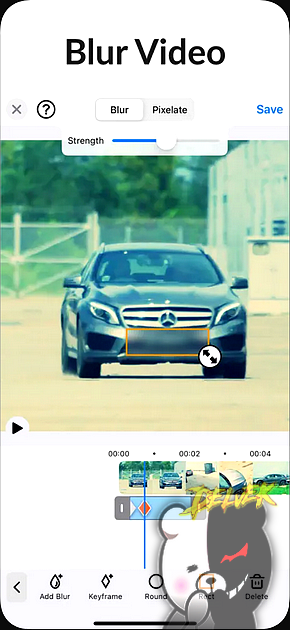 Blur Video screenshot 1