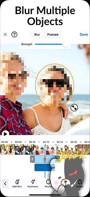 Blur Video screenshot 2