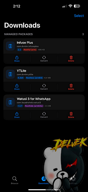 DebManager screenshot 2