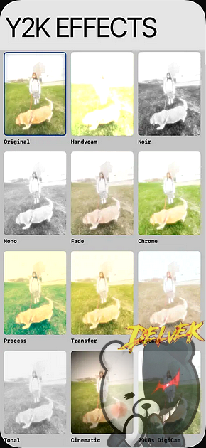 DigiCamFX Camera iPhone screenshot 4