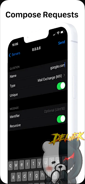 DNS Client iPhone screenshot 2