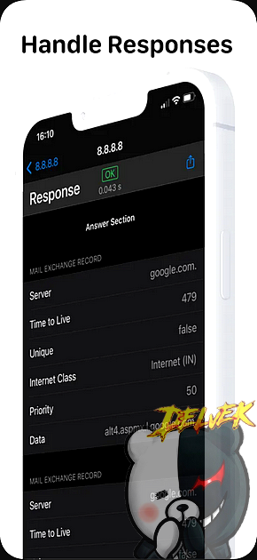 DNS Client iPhone screenshot 3
