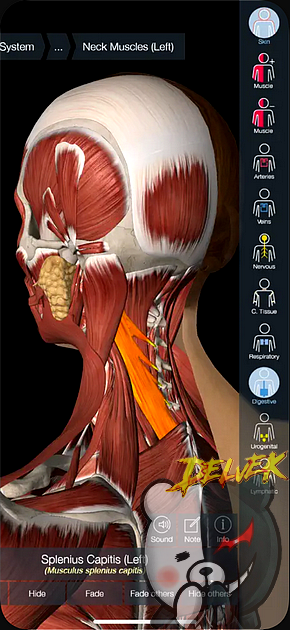 Essential Anatomy 5 iPhone screenshot 2