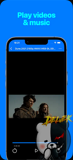 File Explorer & Player iPhone screenshot 2