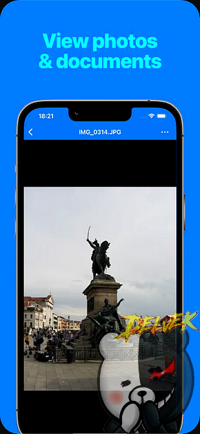File Explorer & Player Pro iPhone screenshot 2