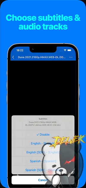 File Explorer & Player Pro iPhone screenshot 4