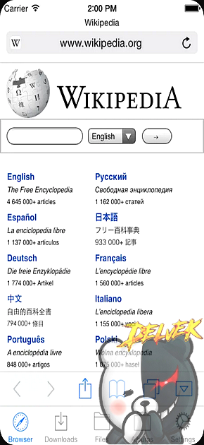 Browser & File Manager iPhone screenshot 2