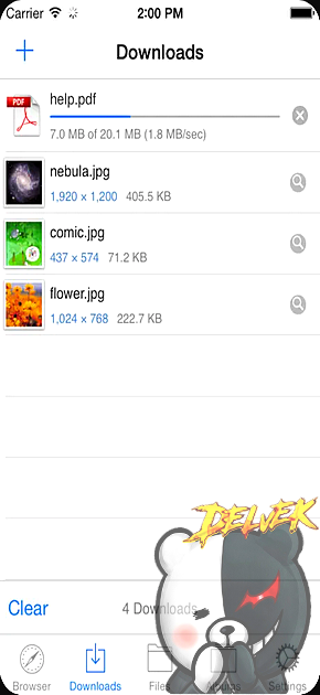 Browser & File Manager iPhone screenshot 3