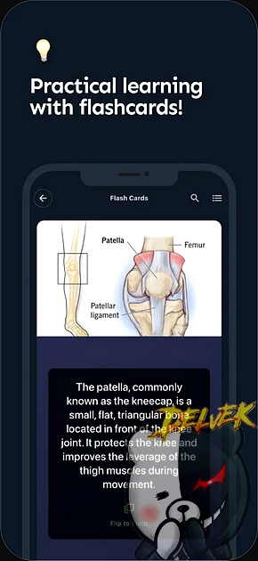 Finito - Anatomy Atlas & Med Ai iPhone screenshot 4
