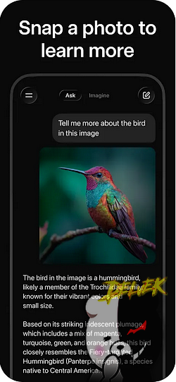 Grok Ai iPhone screenshot 2