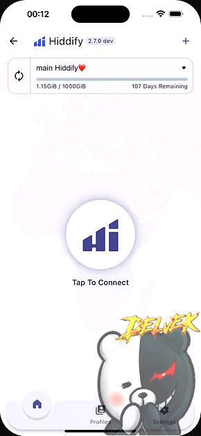 Hiddify Proxy & VPN iPhone screenshot 2