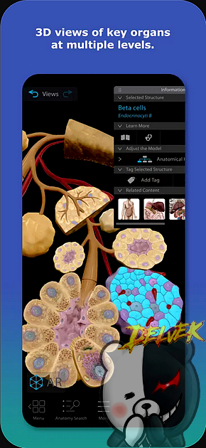 Human Anatomy Atlas 2026 iPhone screenshot 2