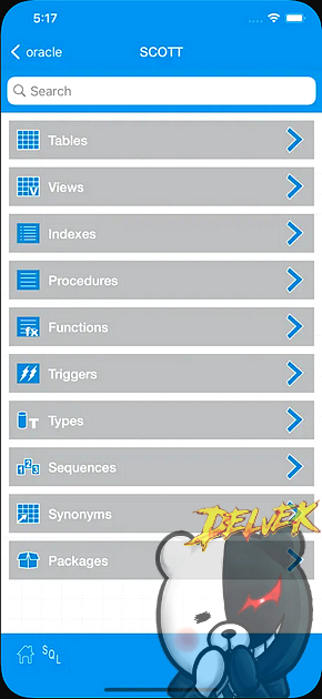 iOracleProg - Oracle Client iPhone screenshot 2