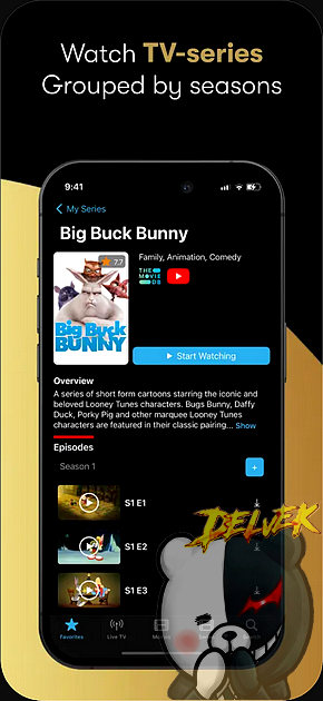 iPTV Streamer iPhone screenshot 4