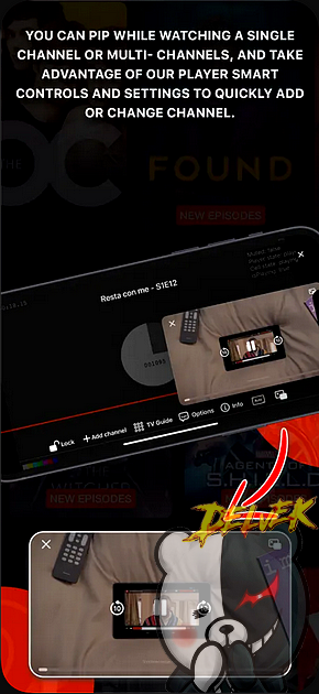 iPTVX iPhone screenshot 4