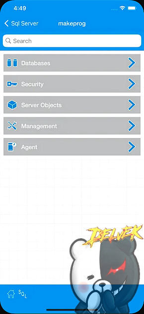 iWindowsProg - Database Client iPhone screenshot 3