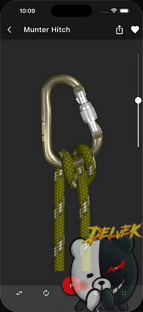 Knots 3D iPhone screenshot 4