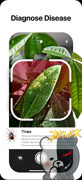Leafora Ai - Plant Identifier iPhone screenshot 2
