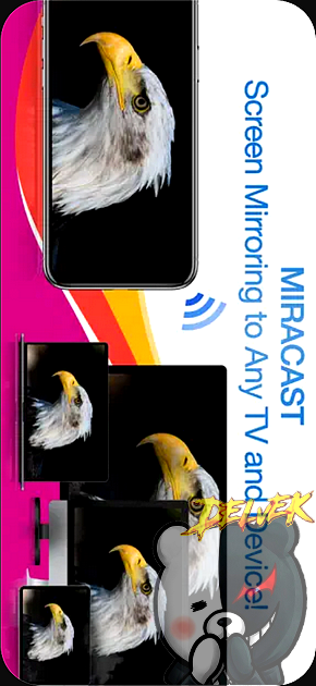 Miracast - Screen Mirror iPhone screenshot 4