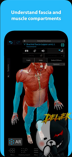 Muscles & Kinesiology iPhone screenshot 3
