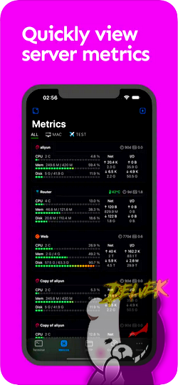 NeoServer SSH Client Terminal screenshot 1