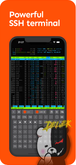 NeoServer SSH Client Terminal screenshot 3