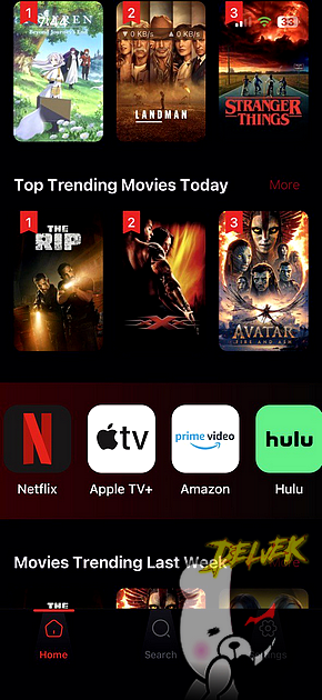 NetFlix ViP screenshot 2