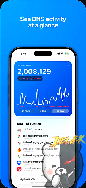 NextDNS (iOS16+) iPhone screenshot 2