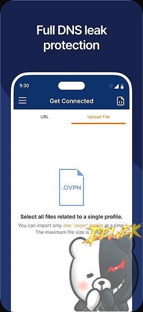 OpenVPN Connect screenshot 2