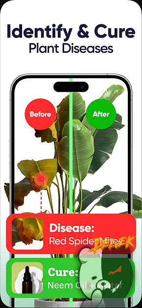 Planty - Plants Identifier screenshot 2