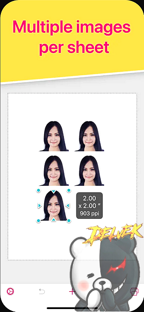 Print to Size iPhone screenshot 3