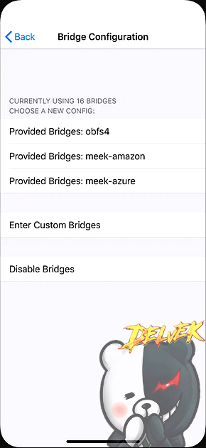 Proxy Anonymous Web Browser iPhone screenshot 4