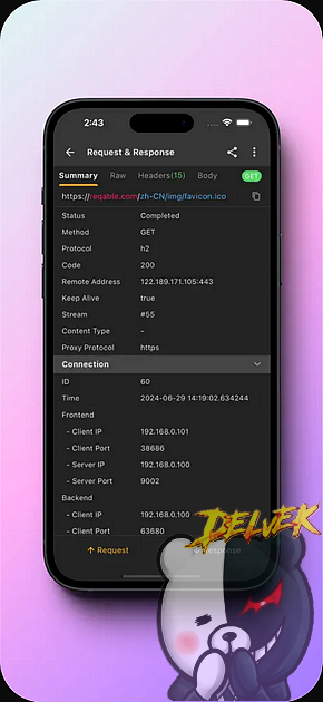 Reqable iPhone screenshot 2