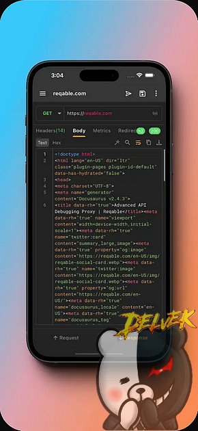 Reqable iPhone screenshot 3