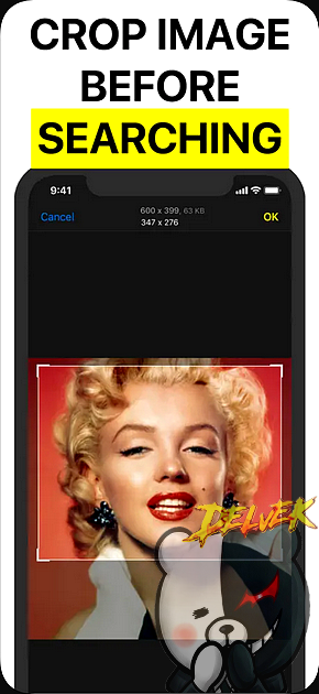 Reversee - Reverse Image Search iPhone screenshot 4