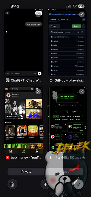 Reynard Browser iPhone screenshot 4
