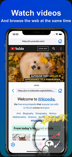 Split View screenshot 2