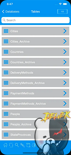 SqlProg Database Query Studio iPhone screenshot 2