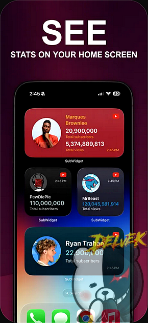 SubWidget - Widget for YT iPhone screenshot 3
