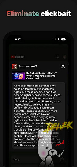 Summarize YT screenshot 3