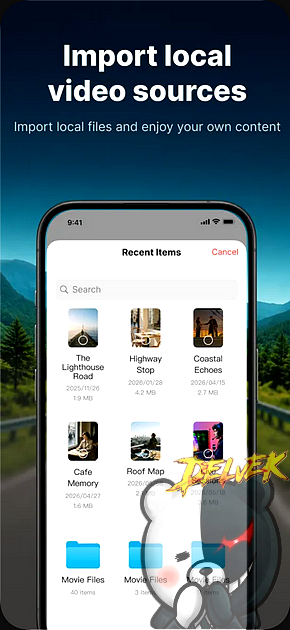 TDS CarPlay iPhone screenshot 3